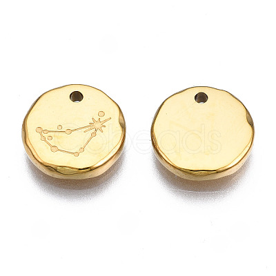 316 Surgical Stainless Steel Charms LS-STAS-S116-418C-G-1