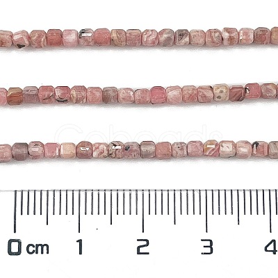 Natural Argentina Rhodonite Beads Strands G-Z057-A01-01-1