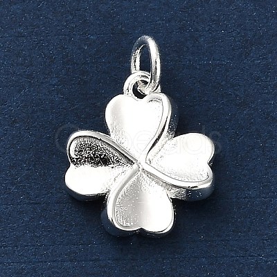 925 Sterling Silver Charms LS-FIND-Z069-04S-C-1