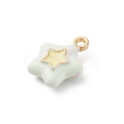 Alloy Enamel Charms ENAM-E362-08E-1