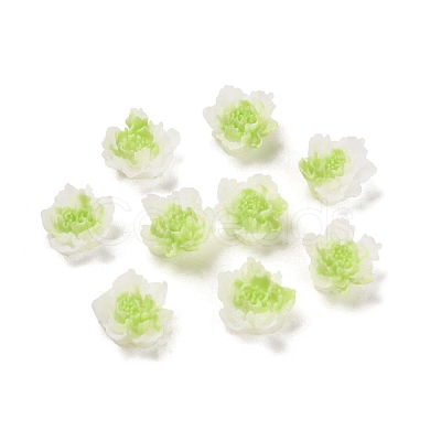 Luminous Resin Decoden Cabochons LS-RESI-K036-06F-02-1