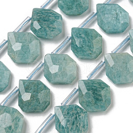 Natural Amazonite Beads Strands G-P544-C07-01-1