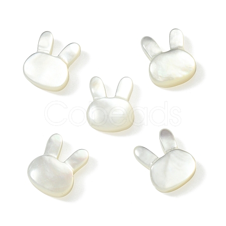 5Pcs Natural White Shell Beads BSHE-CJ0001-06-1