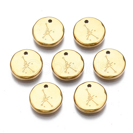 316 Surgical Stainless Steel Charms STAS-S116-418I-G-1