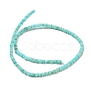 Dyed Natural Freshwater Shell Beads Strands BSHE-G039-07C-2