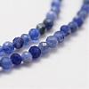 Natural Grade A Sodalite Beads Strands G-G663-21-2mm-3