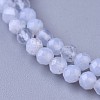 Natural Blue Lace Agate Beaded Necklaces NJEW-K114-B-A08-2