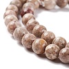 Natural Maifanite/Maifan Stone Beads Strands G-P451-01B-B-4