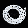 Natural Freshwater Shell Beads Strands SHEL-N003-25-A01-2