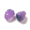 Handmade Lampwork Beads Strands LAMP-G162-05G-3