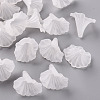 Transparent Acrylic Beads BSF796-1