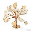 Natural Citrine Chips Display Decorations G-Z016-13B-2