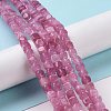 Natural Quartz Beads Strands G-C023-09F-2