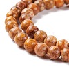 Natural Maifanite/Maifan Stone Beads Strands G-P451-01B-C-4