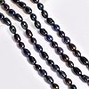 Natural Cultured Freshwater Pearl Beads Strands PEAR-NB0001-40-6