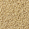 MIYUKI Round Rocailles Beads SEED-G007-RR0488-3