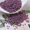 MIYUKI Delica Beads SEED-JP0008-DB0265-1