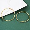 304 Stainless Steel Hoop Earrings EJEW-I320-25G-03-2