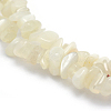 Natural White Moonstone Beads Strands X-G-P332-01-2