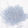 6/0 Transparent Glass Round Seed Beads SEED-J010-F6-32-2