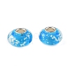 Lampwork & Brass Core European Beads LAMP-P019-01P-30-1