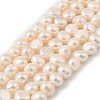 Natural Cultured Freshwater Pearl Beads Strands PEAR-P064-19J-06D-2