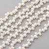 Natural Cultured Freshwater Pearl Beads Strands PEAR-G007-16-1