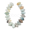Natural Flower Amazonite Double Terminated Point Beads Strands G-T142-93-3