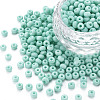 6/0 Glass Seed Beads SEED-T005-14-B25-1
