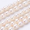 Natural Cultured Freshwater Pearl Beads Strands PEAR-P002-55-01-1