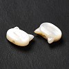 Natural White Shell Beads SHEL-G014-10A-01-4