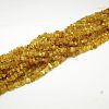 Natural Amber Chip Beads Strands X-G-E333-01A-1