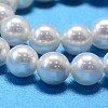 AB Color Plated Shell Pearl Round Bead Strands X-BSHE-L011-6mm-C001-4