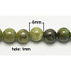 Natural Idocrase Beads Strands X-G-N165-7-5