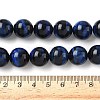Natural Tiger Eye Bead Strands LS-G-P230-08-B-14mm-2