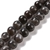 Natural Black Moonstone Beads Strands G-J157-12mm-05-1