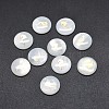 Shell Cabochons SSHEL-E568-B09-2