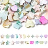 60Pcs 6 Styles Macaron Color Natural Shell Dyed Beads BSHE-CJ0001-13-1