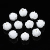 Handmade Lampwork Beads LAMP-T016-11M-1