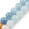 Natural Morganite Beads Strands G-P503-10MM-01-2