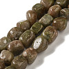 Natural Unakite Beads Strands G-B078-D25-01-1