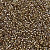 MIYUKI Delica Beads X-SEED-J020-DB2396-3