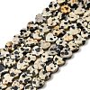 Natural Dalmatian Jasper Beads Strands G-A272-A01-32-3