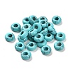 Synthetic Turquoise European Beads G-R488-02J-1