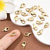 SHEGRACE Brass Lobster Claw Clasps XGR0010G-04G-4