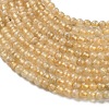 Natural Yellow Garnet Beads Strands G-Z129-C01-3mm-01-4
