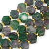 Dyed Natural Fuchsite Beads Strands G-F833-B04-01-2