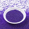 MIYUKI Round Rocailles Beads X-SEED-G007-RR0176-2