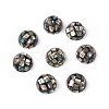 Synthetic Abalone Shell/Paua Shell Beads SSHEL-K001-001D-3