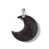 Natural Brecciated Jasper Pendants G-Z022-04E-2